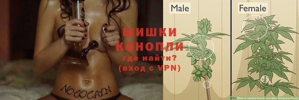 дживик Дмитровск