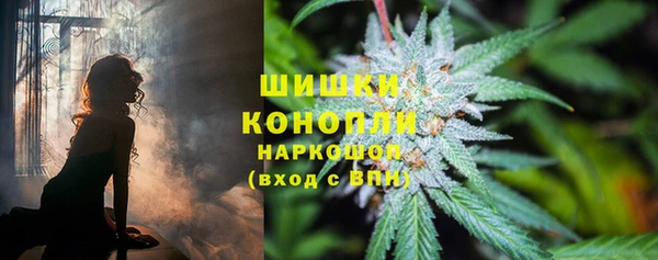 не бодяженный Дмитриев