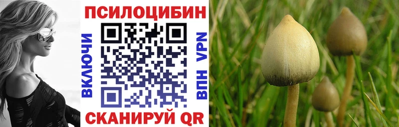 Галлюциногенные грибы Magic Shrooms  shop наркотические препараты  Дудинка 